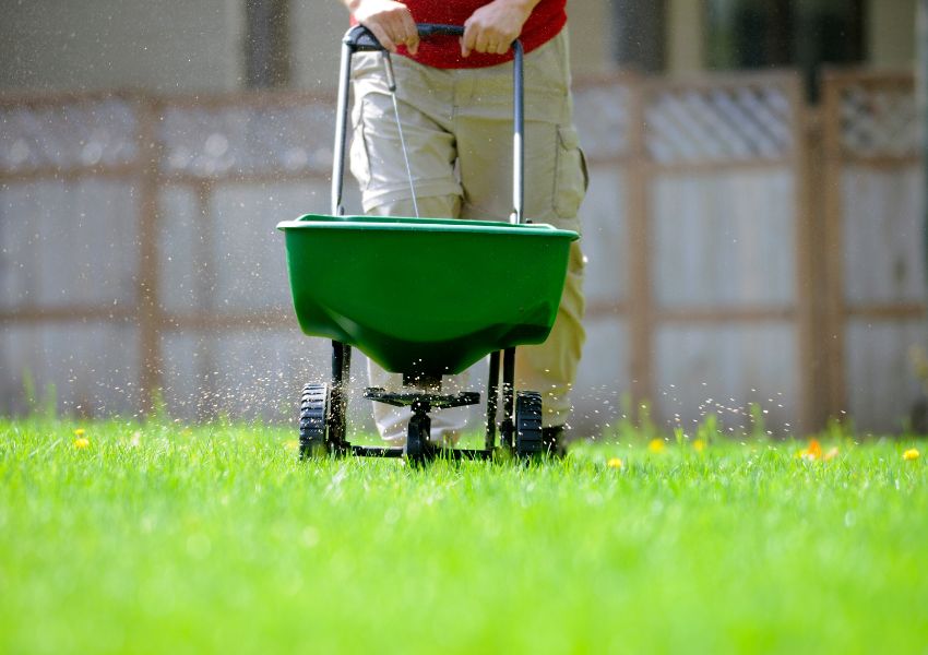 person spreading fertilizer on the grass in their backyard